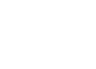 Flex Pay